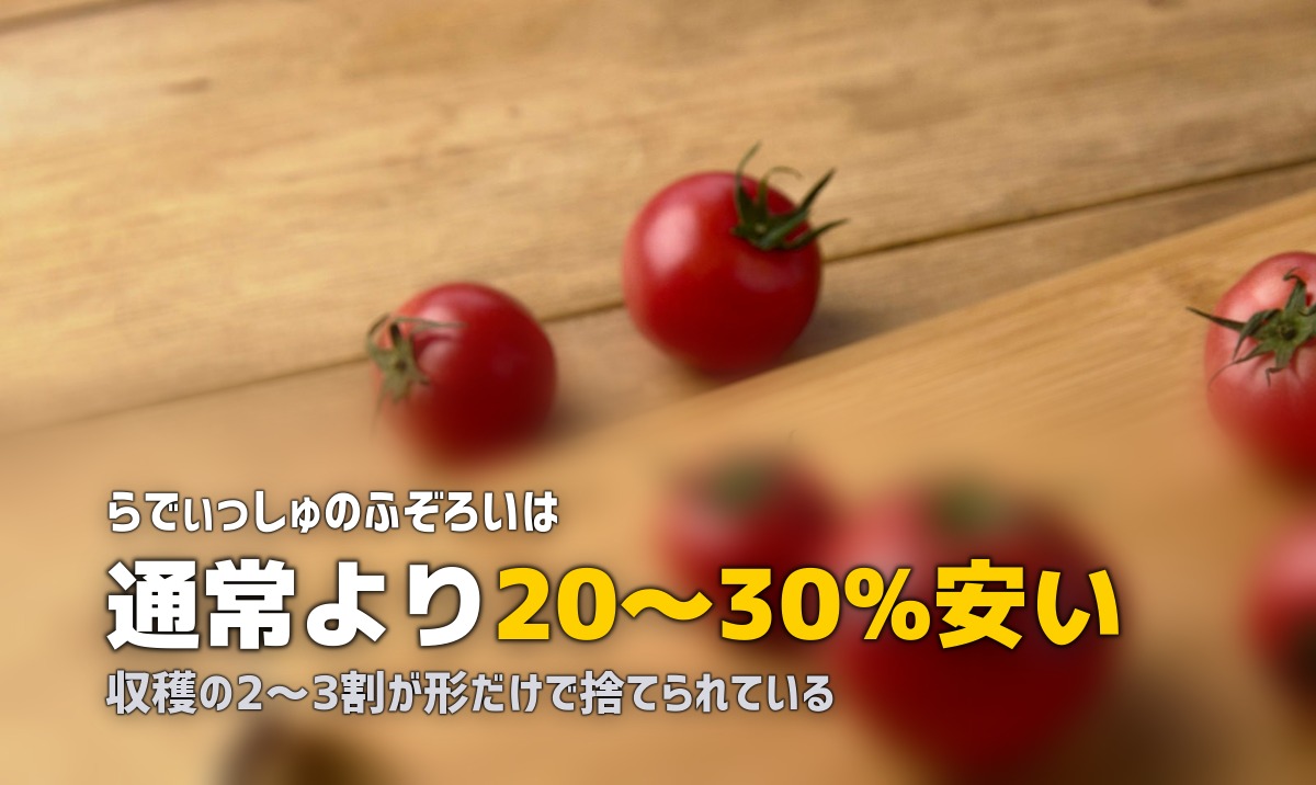 規格外・ふぞろい野菜がお得！訳あり食材を安く買える食材宅配サービス