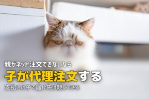 親の食事を代わりに注文できるサービス｜代理注文OKの宅配弁当