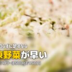 野菜不足を簡単に解消する方法7選｜忙しくても手軽にできる
