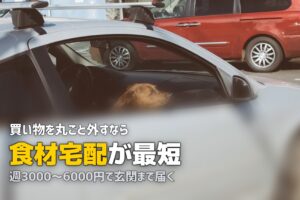 買い物がめんどくさい・行きたくない人の解決策5選