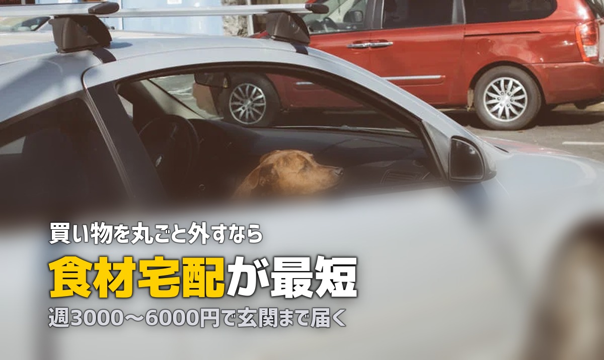 買い物がめんどくさい・行きたくない人の解決策5選