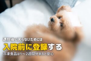 退院後の食事はどうする？料理ができないときの準備と対策