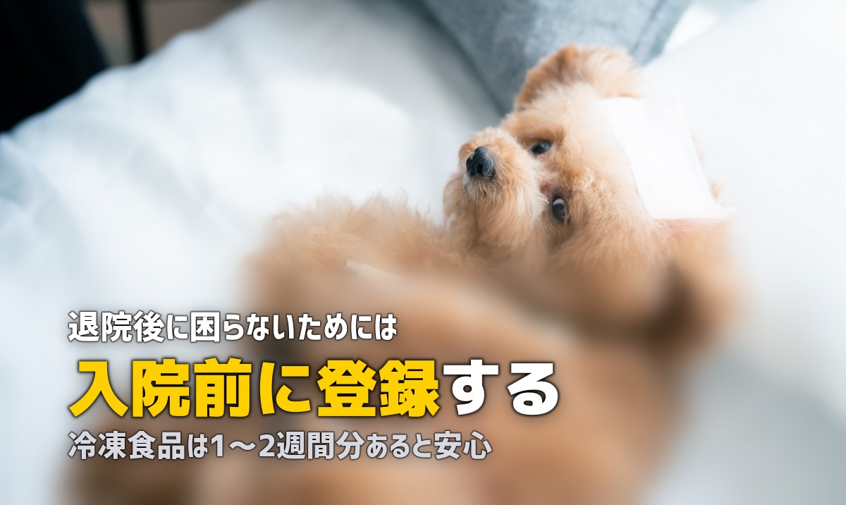 退院後の食事はどうする?料理ができないときの準備と対策