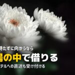 葬儀場や斎場で喪服は借りられる?現地調達という手