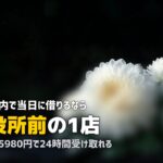 京都で喪服レンタルを即日|24時間無人店舗と葬儀ホール事情