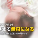 ナイスベビーの評判は？送料・組み立て・延長の条件を確認