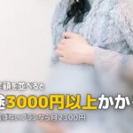 チャイルドシートレンタルの料金相場|5社の実額で比べる