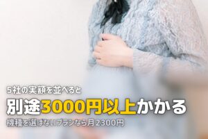チャイルドシートレンタルの料金相場｜5社の実額で比べる