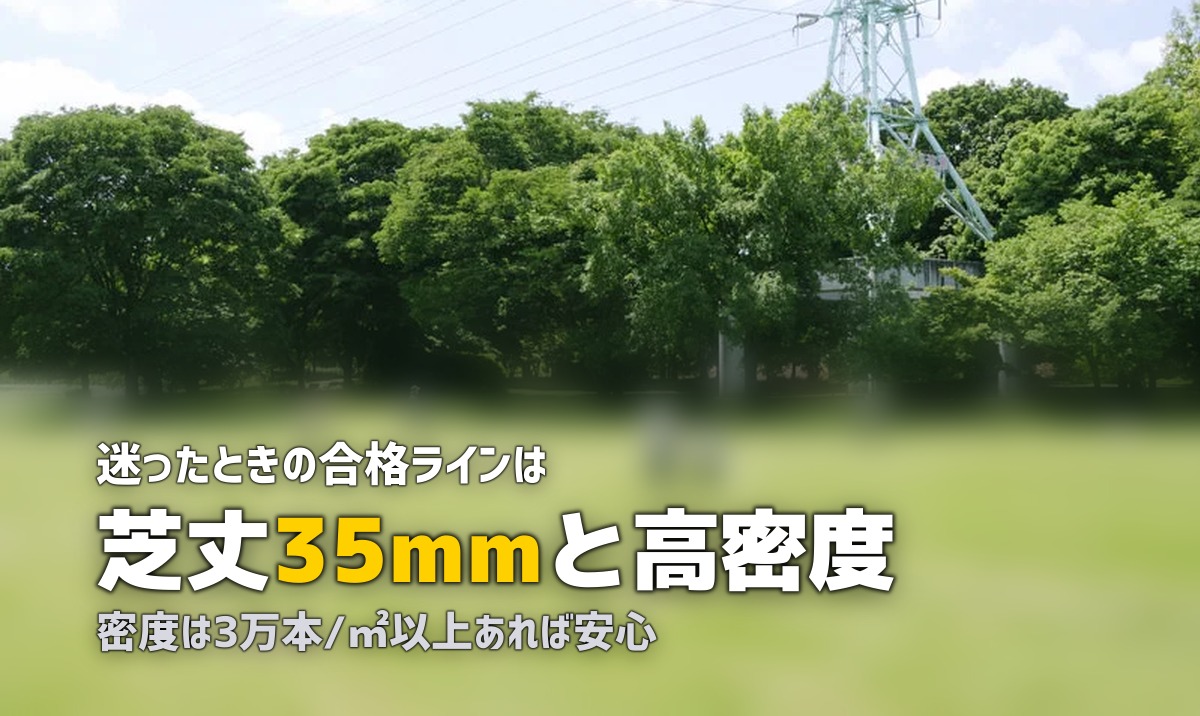 人工芝おすすめ5選と選び方ガイド｜コスパ・品質で徹底比較
