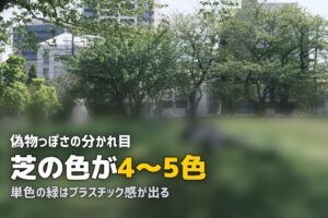本物に近い人工芝の選び方｜リアルな見た目のポイント5つ