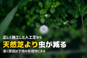 人工芝に虫が湧く？原因と対策を徹底解説｜ゴキブリ・ムカデ・ダニ