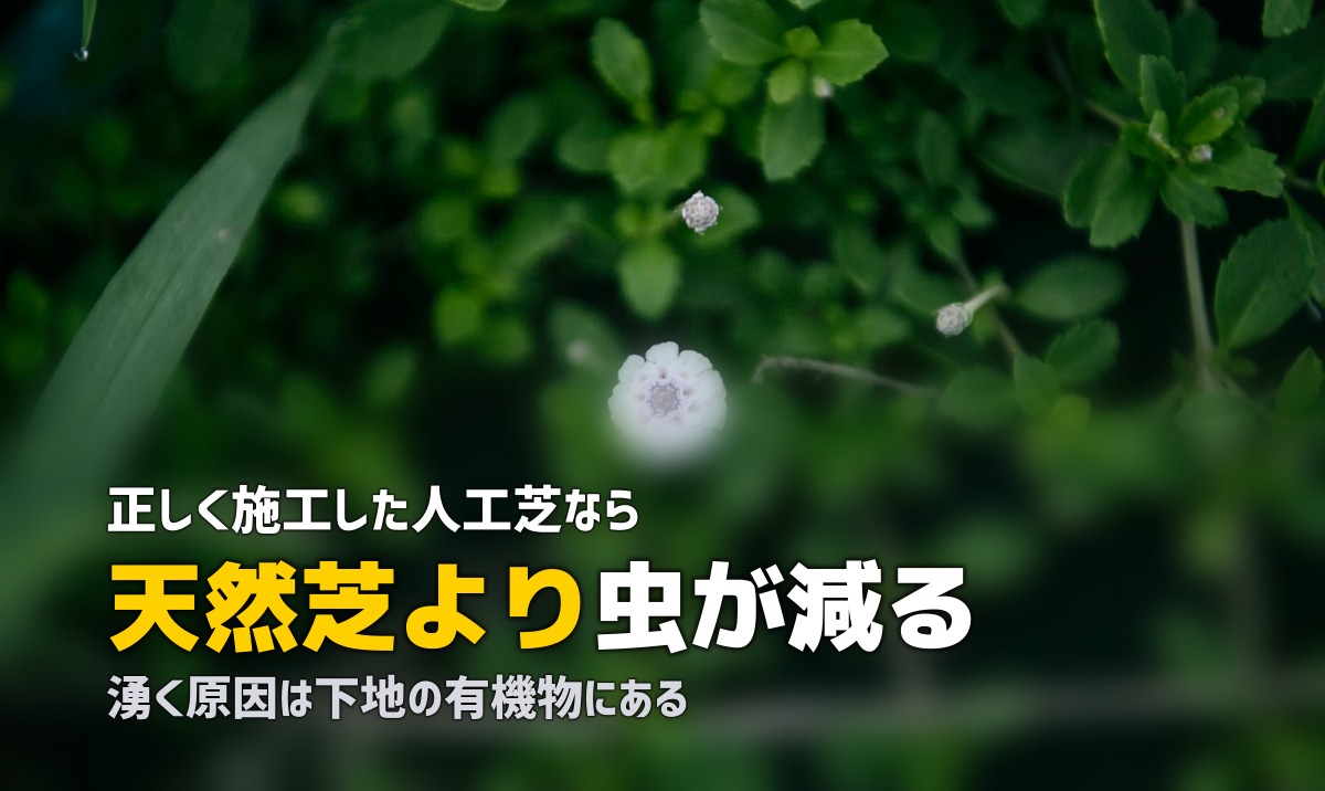人工芝に虫が湧く？原因と対策を徹底解説｜ゴキブリ・ムカデ・ダニ