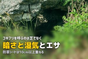 人工芝でゴキブリが出る？原因と具体的な対策方法