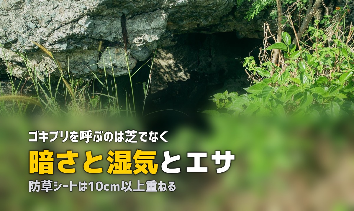 人工芝でゴキブリが出る?原因と具体的な対策方法