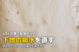 人工芝の下にムカデが出る？原因と効果的な対策方法