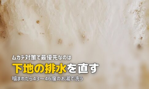 人工芝の下にムカデが出る？原因と効果的な対策方法