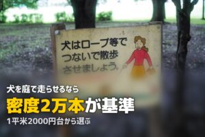 人工芝は犬に安全？ペット用人工芝の選び方とトイレ対策