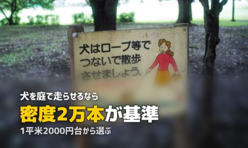 人工芝は犬に安全？ペット用人工芝の選び方とトイレ対策