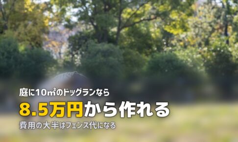 庭にドッグランを作ろう！人工芝で愛犬の遊び場をDIY