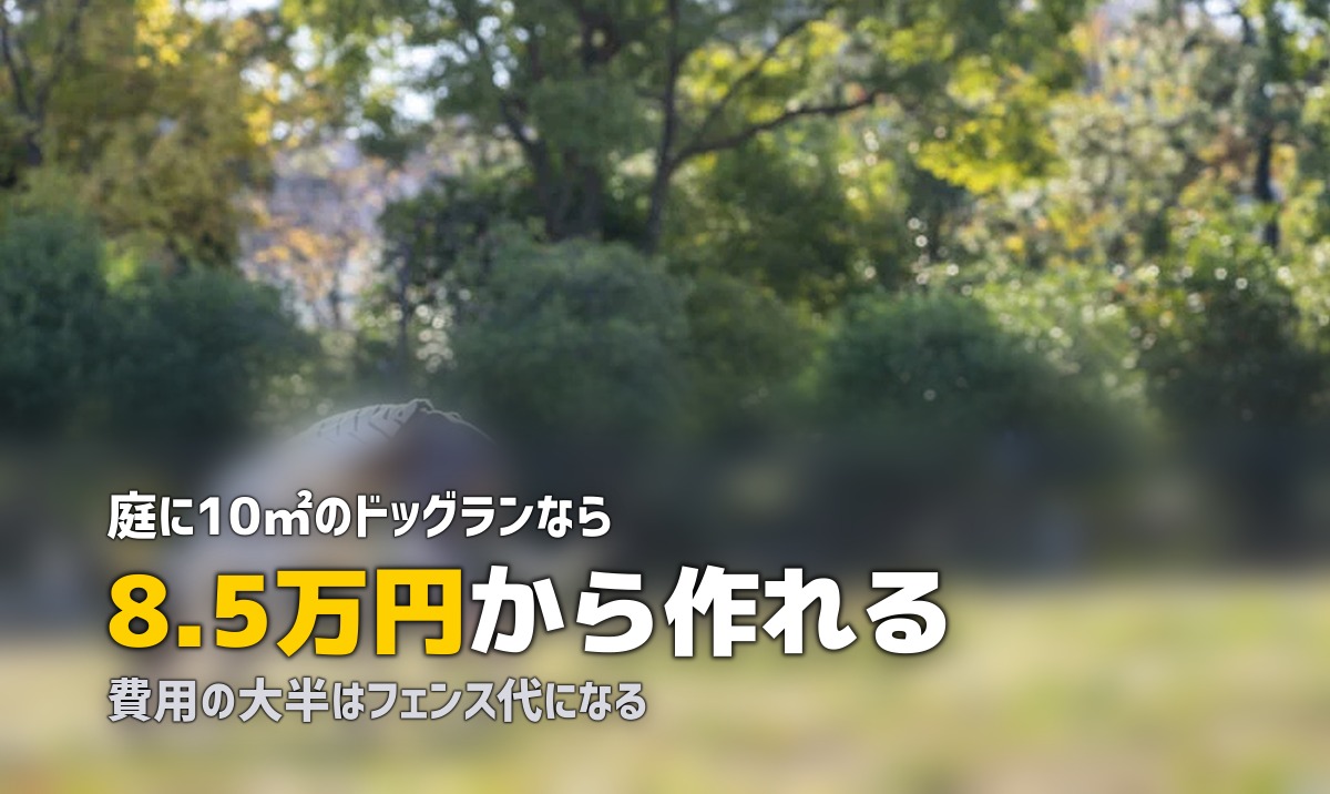 庭にドッグランを作ろう！人工芝で愛犬の遊び場をDIY