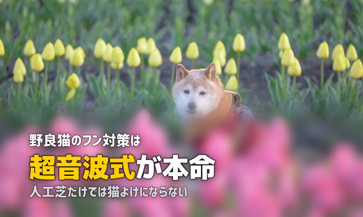 人工芝で猫よけはできる?猫のフン対策と人工芝の活用法