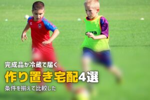 作り置き サービス 宅配